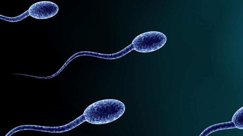 Does Sperm Die When It Hits The Air New Health Advisor